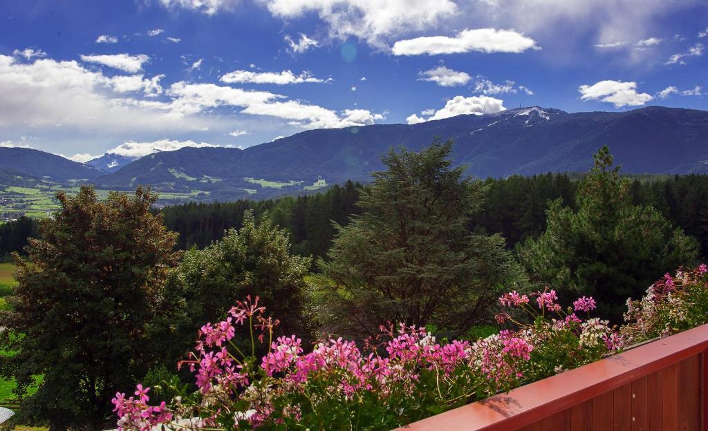 Appartement- Und Wellnesshotel Winkler Falzes Quarto foto
